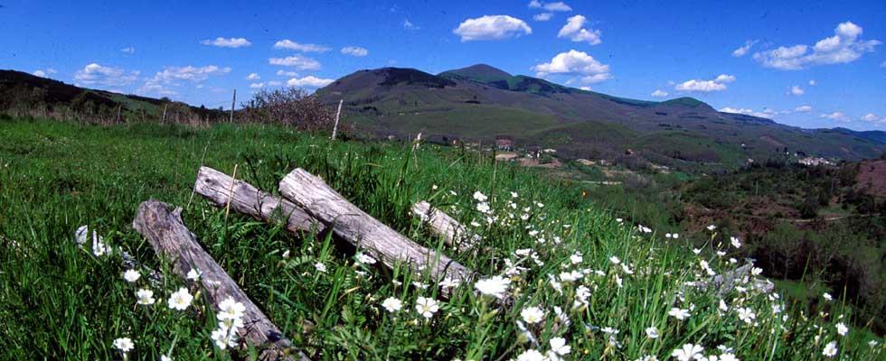 Agriturismo Sorripe Montelaterone Eksteriør bilde